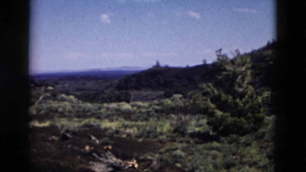 1958 Yellowstone landscape frame with green hills, scattered trees, brush, distant horizon, and bright blue sky.