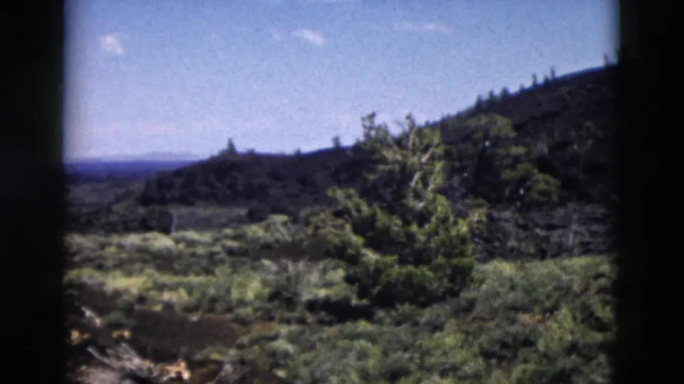 1958 Yellowstone home-movie view across brush, small trees, sloping hills, and a bright open sky.