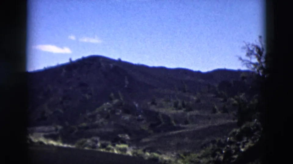 1958 Yellowstone landscape frame with distant hills, a darker valley floor, and a leafy tree along the right edge.