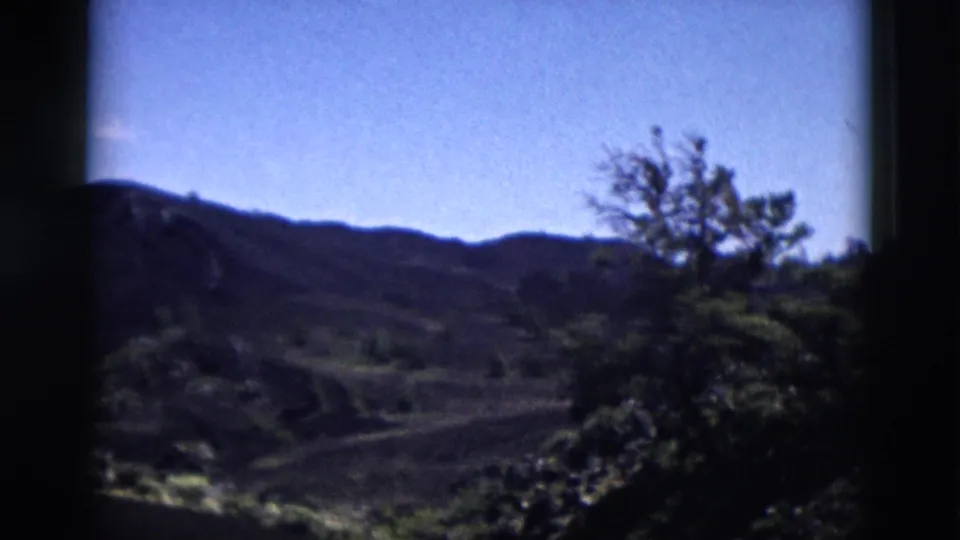 1958 Yellowstone home-movie frame showing layered hills, open sky, and a leafy tree near the right side of the frame.