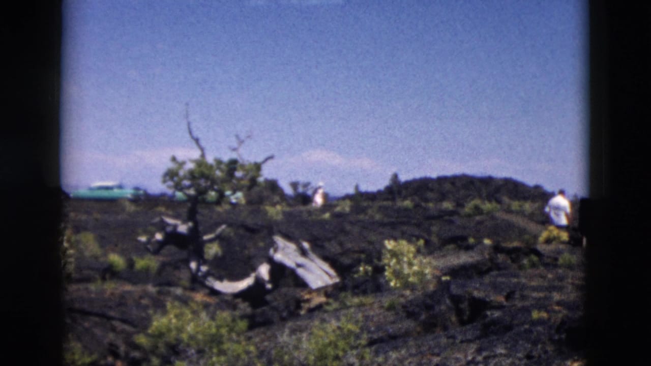 1958 Yellowstone frame with a weathered tree trunk, black volcanic ground, turquoise car, and a visitor at frame edge.