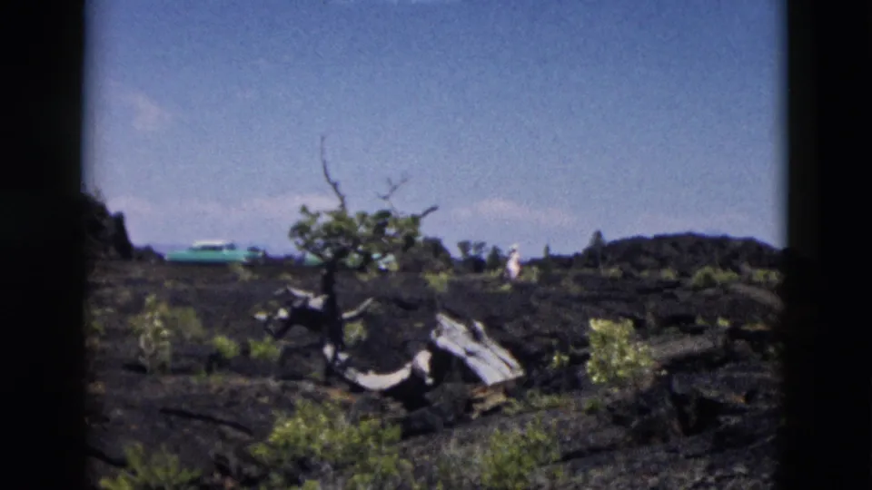 1958 Yellowstone home-movie view of a volcanic field with shrubs, a weathered tree, turquoise car, and visitors.
