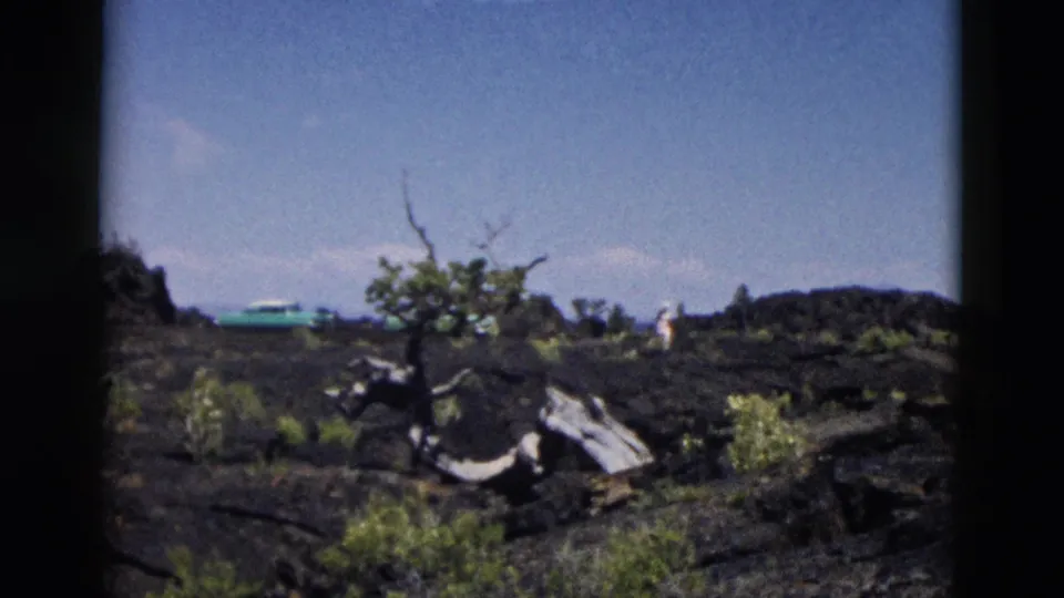1958 Yellowstone frame showing black volcanic ground, scrub vegetation, a pale trunk, turquoise car, and distant visitors.