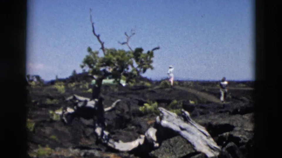 1958 Yellowstone home-movie frame with two distant visitors walking across black volcanic terrain near a weathered tree.