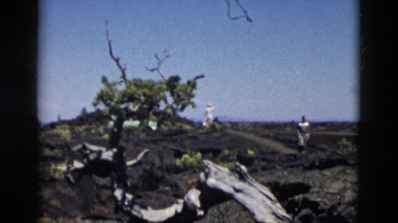 Dark rocky hilltop with a dead tree, sparse shrubs, and distant people under a blue sky.