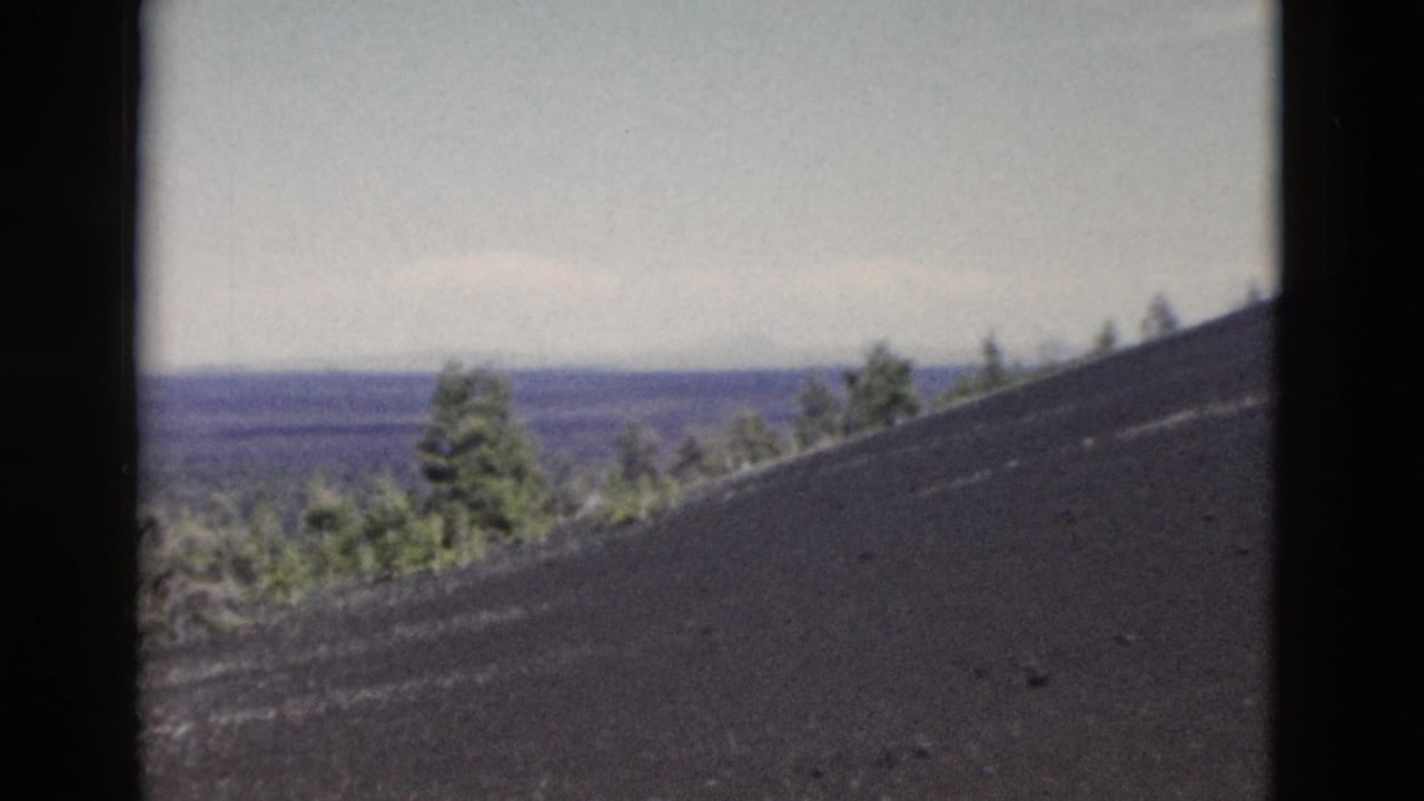 Black sloping ground with pine trees along the horizon and pale sky above.