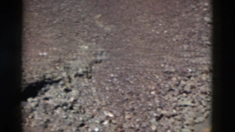 1958 Yellowstone 8mm frame with rocky sand, small gray stones, and a dark central film or shadow band.