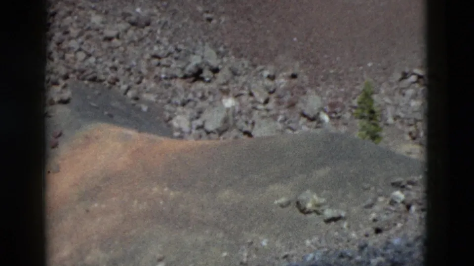 1958 Yellowstone 8mm frame showing a lone small green plant emerging from gravelly sand near a low mound.