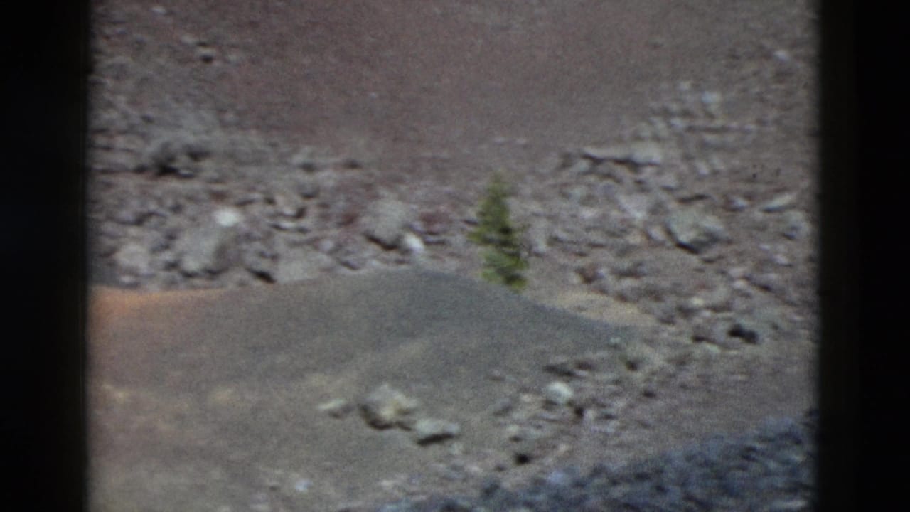 1958 Yellowstone 8mm frame showing a barren rocky slope with loose stones, a small evergreen, and dark window-like borders.