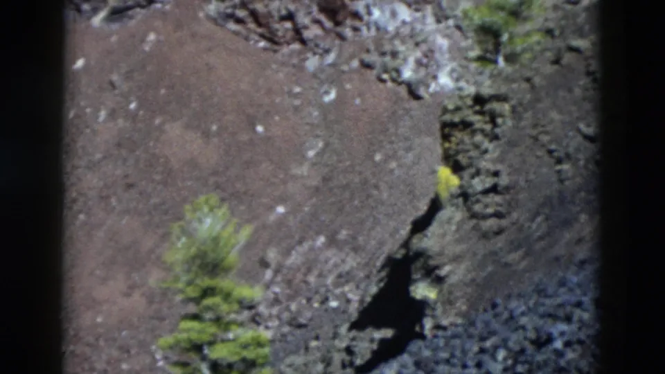 1958 Yellowstone 8mm view of a dark rocky slope with clustered evergreens, loose gravel, and a shadowed rock outcrop.