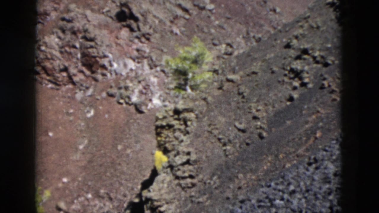Steep dark rock slope with small green plants and a yellow spot near a crack.