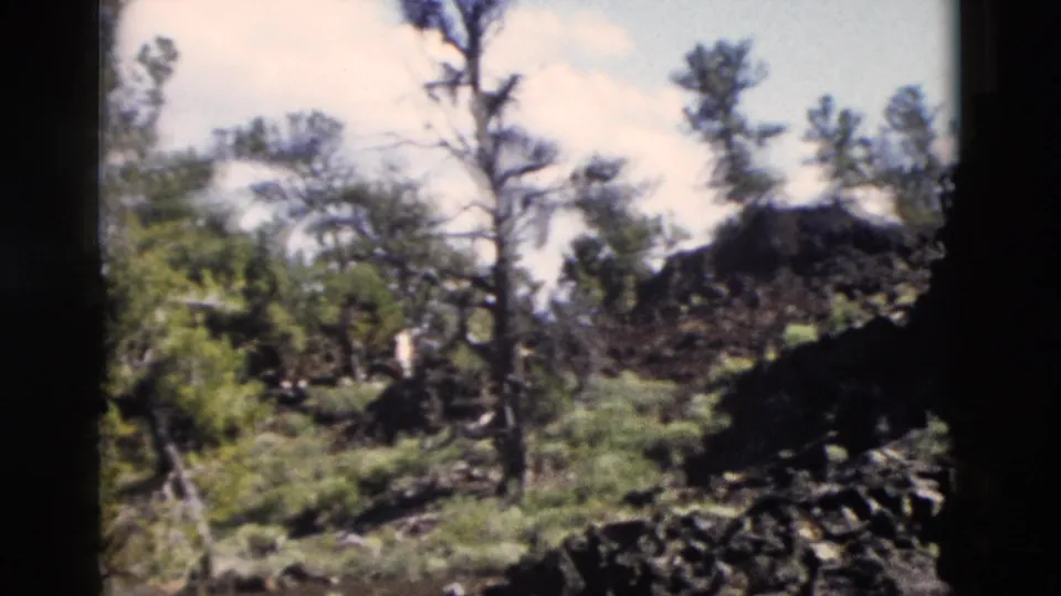 1958 Yellowstone-area 8mm frame with pines, low vegetation, and dark volcanic-looking rocks across uneven terrain.