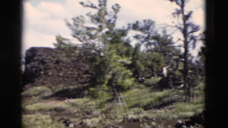 1958 Yellowstone-area 8mm frame showing a small pine, scrub vegetation, and a dark rocky mound in daylight.