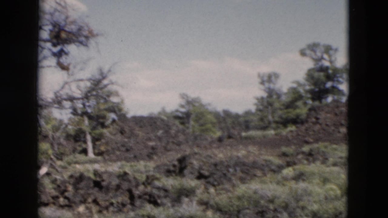 1958 Yellowstone 8mm frame showing dark volcanic rock, low vegetation, scattered pine trees, and pale sky.