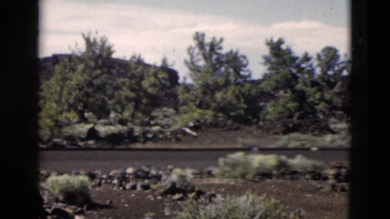 1958 Yellowstone home-movie frame of a quiet roadside volcanic landscape with shrubs, rocks, pines, and dark window edges.