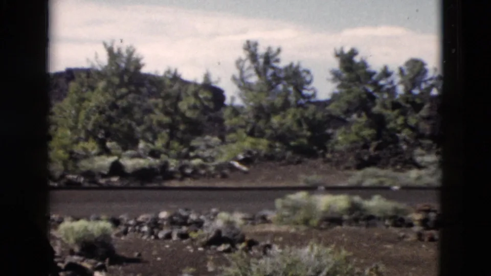 1958 Yellowstone home-movie frame of a quiet roadside volcanic landscape with shrubs, rocks, pines, and dark window edges.