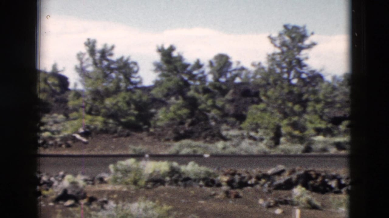 Roadside trees and shrubs with dark rocky ground framed by black vertical edges.