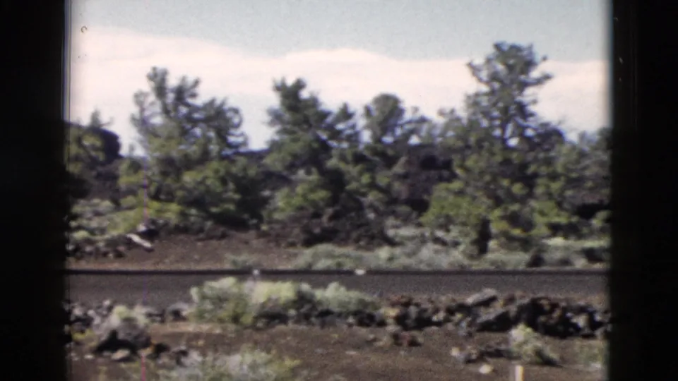 Yellowstone roadside terrain appears through dark car-window or film edges, with pines, brush, rocks, and pale sky.