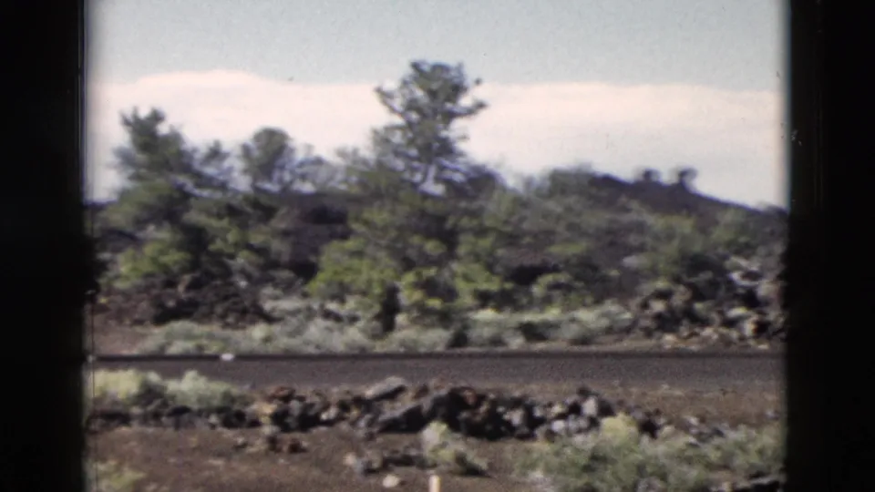 Soft 8mm frame from the pan across Yellowstone scrubland, showing pines, roadside rock, shrubs, and a pale sky.
