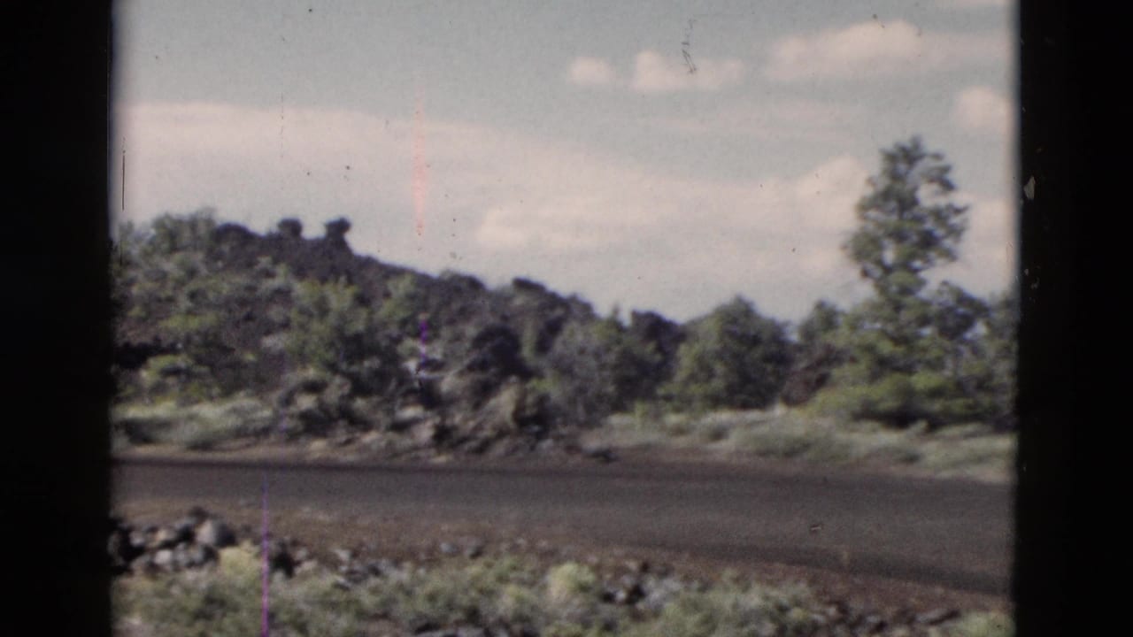 1958 Yellowstone view of a secondary road edge, dark rock formations, low vegetation, and trees in a rural park setting.