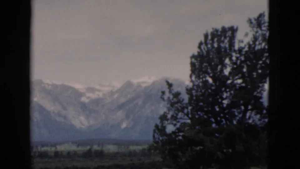 1958 8mm Yellowstone-area landscape with distant snowy peaks, valley floor and a foreground tree crossing the view.