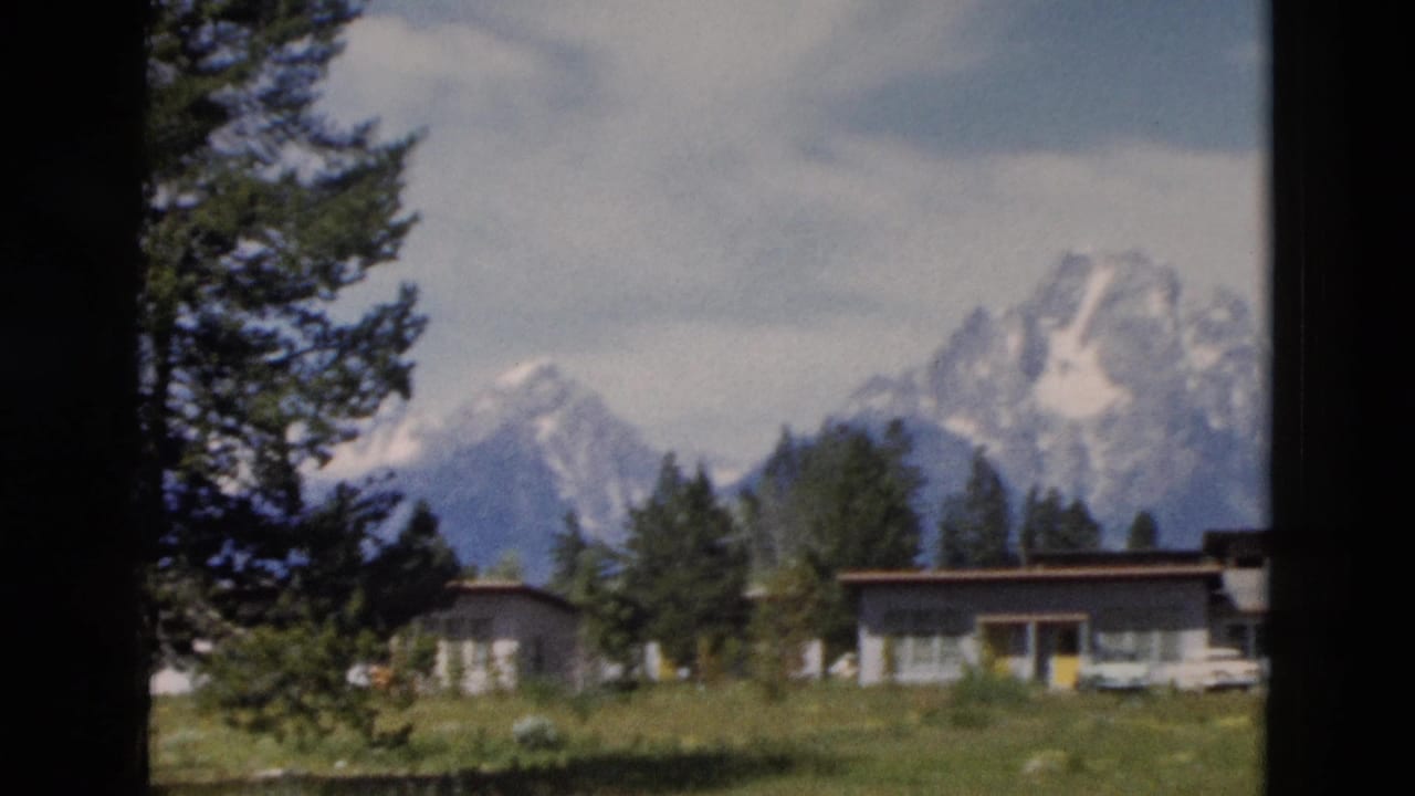 Mountain peaks, evergreen trees, low buildings, grass, and a dark vertical foreground trunk.