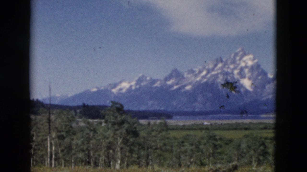 Snow-capped mountains beyond trees and meadow, framed by dark vertical borders.