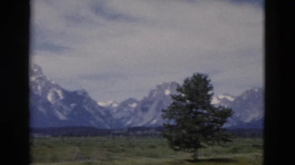 Final 1958 color 8mm frame with a lone tree in the foreground and Wyoming mountains across the valley.