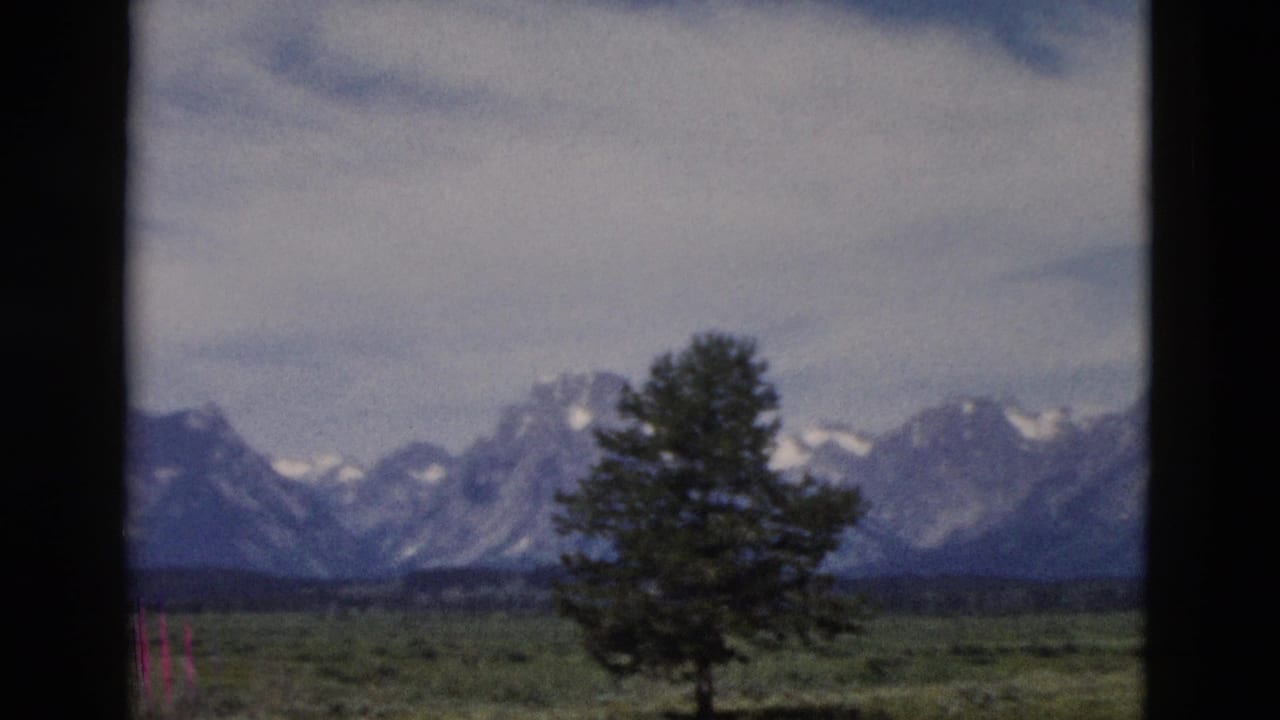 Snow-capped mountains beyond a grassy plain, with an evergreen tree framed by dark film borders.