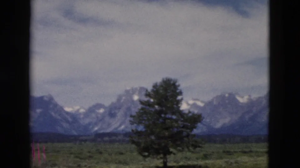1958 Yellowstone, Wyoming 8mm frame showing a lone evergreen before distant snowy mountains and cloudy sky.