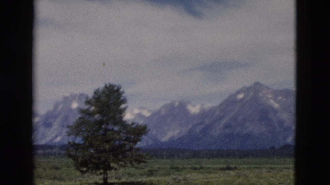 Yellowstone, Wyoming travel footage frame with evergreen foreground, grassy plain, and snow-marked mountain peaks.