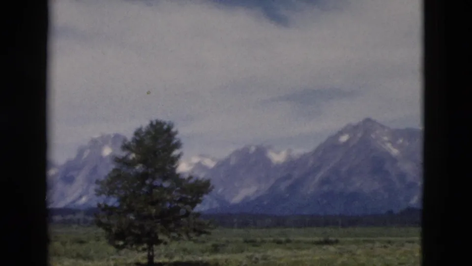 Yellowstone, Wyoming travel footage frame with evergreen foreground, grassy plain, and snow-marked mountain peaks.