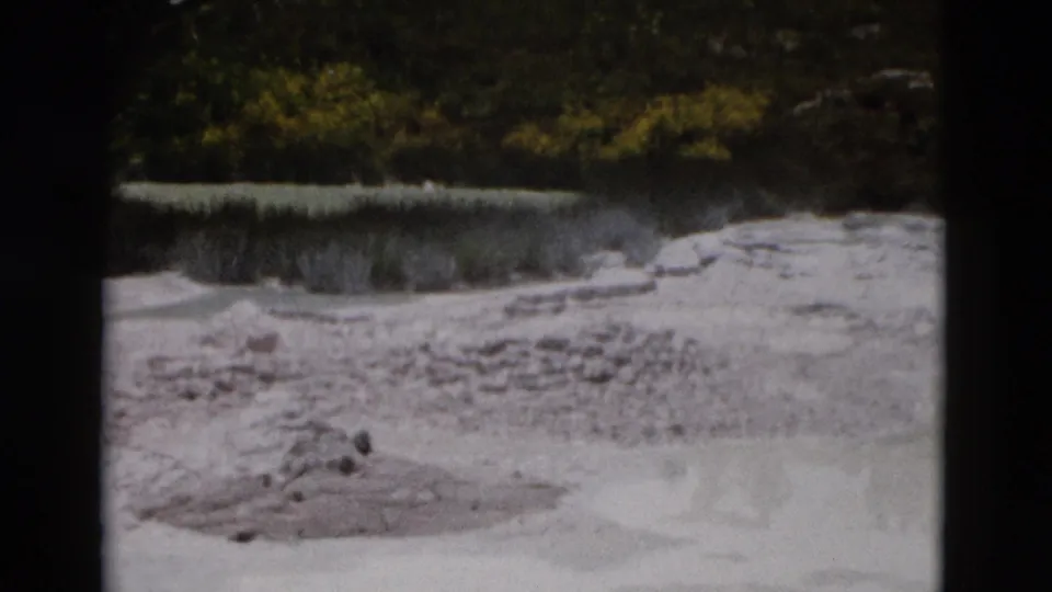 1958 Yellowstone frame showing a pale rocky geothermal-looking area bordered by low brush and darker vegetation.
