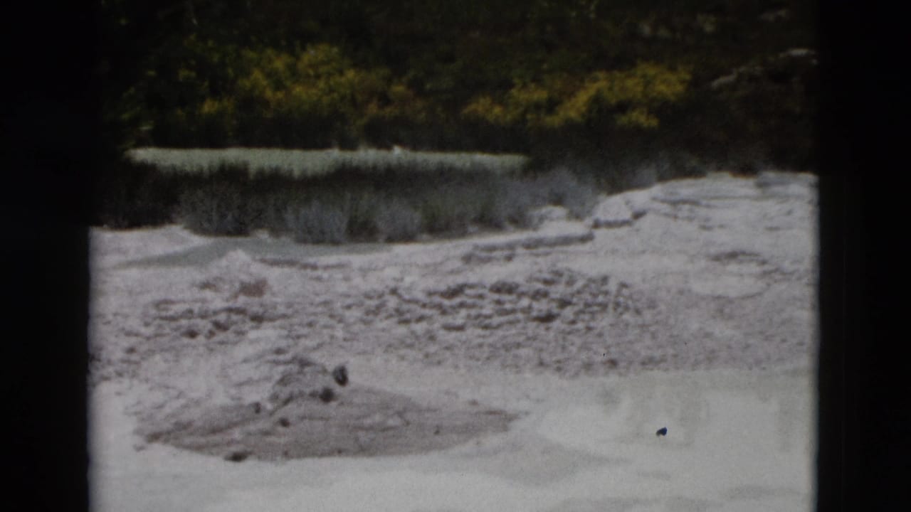 Pale mineral ground and shallow milky water bordered by dark trees and shrubs.