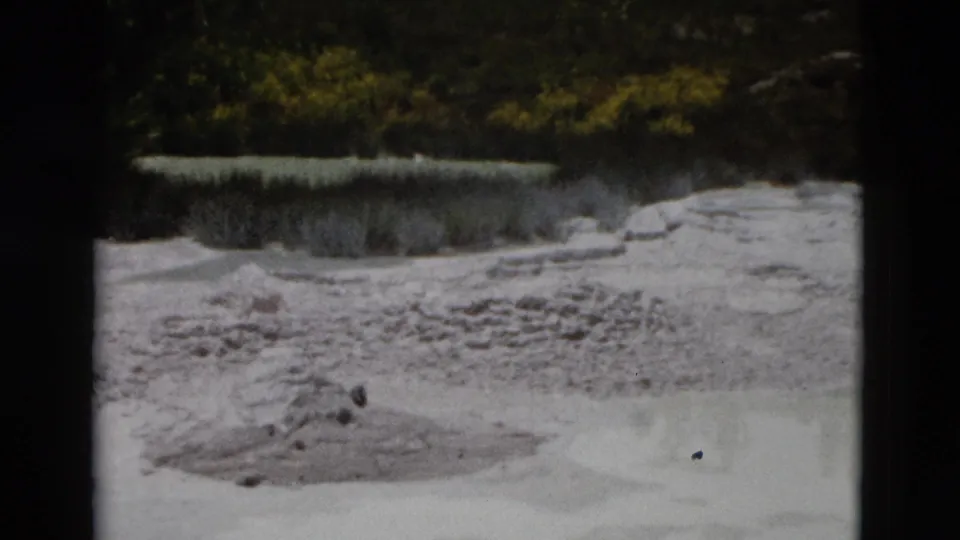 1958 Yellowstone 8mm frame showing pale geothermal mineral flats, a shallow pool, small dark rocks, and vegetation in the background.