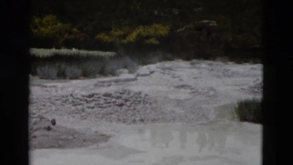 1958 Yellowstone 8mm frame with pale mineral crust, a shallow wet channel, small rocks, and dark vegetation in the distance.