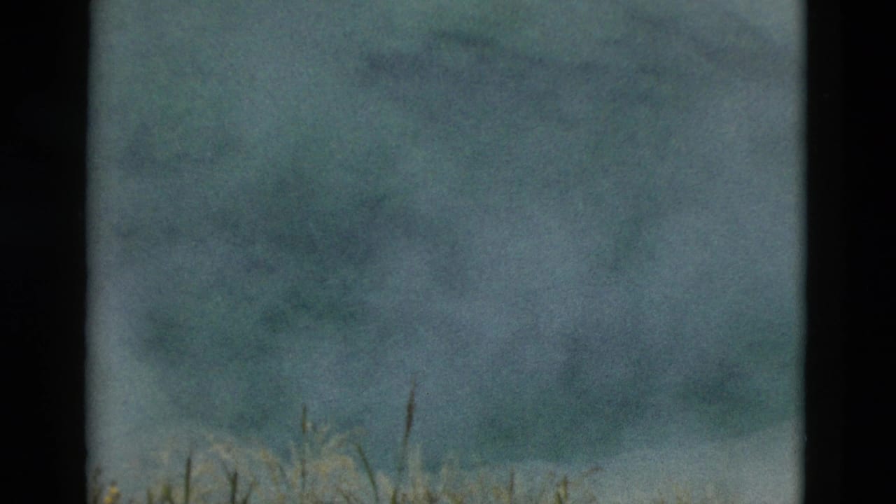 Steam or mist above a partially frozen pond with dark film borders and sparse grass at the lower edge.