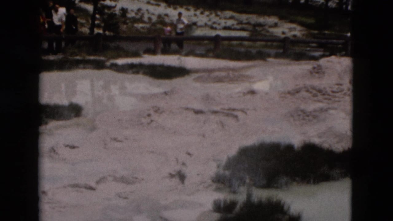 Distant visitors on a wooden boardwalk above pale geothermal ground and dark trees.