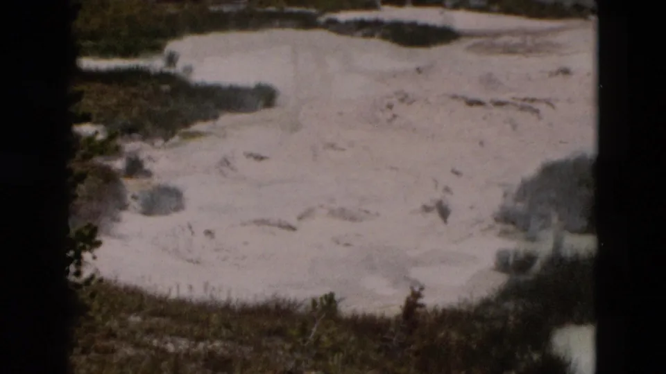 1958 Yellowstone home-movie view of a pale mineral surface with dark shrubs, trees, and part of a boardwalk near the top edge.