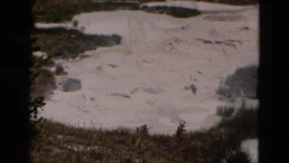 1958 Yellowstone frame showing a light mineral basin, scattered vegetation, tree line, and a boardwalk edge in soft 8mm focus.