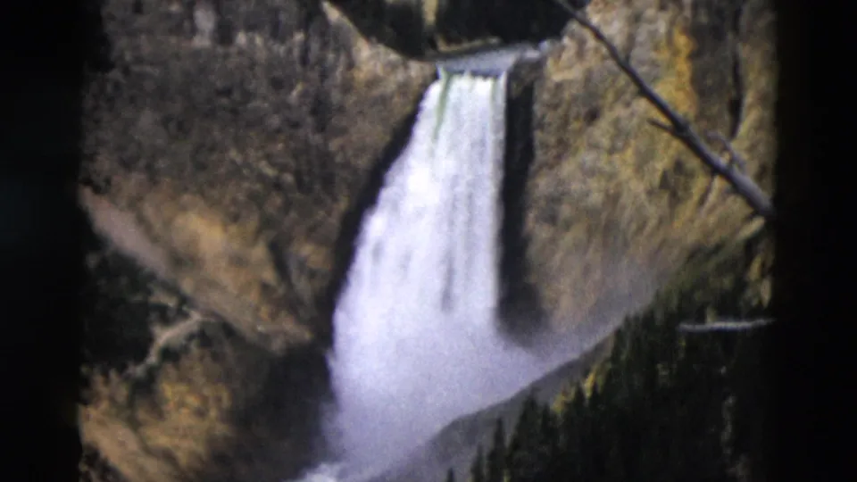1958 Yellowstone 8mm frame showing the falls, canyon rock, conifers, and a diagonal branch in the foreground.