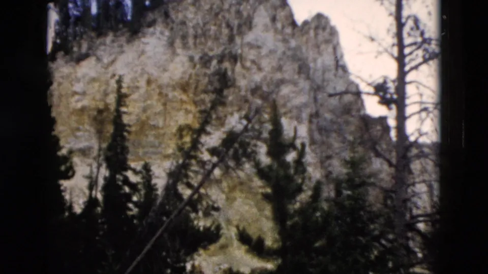 Yellowstone 8mm frame showing a pale cliff face partly obscured by pine silhouettes and bare tree trunks.