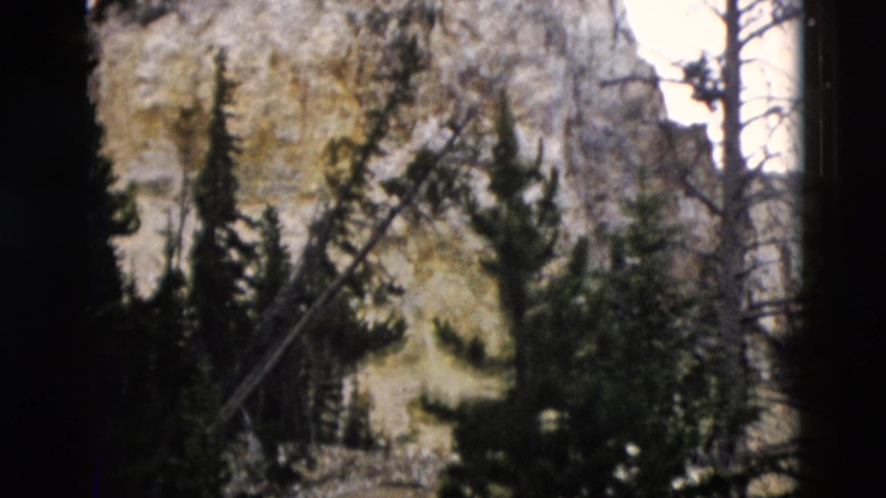 Pale cliff face and conifer trees on a steep mountain slope.
