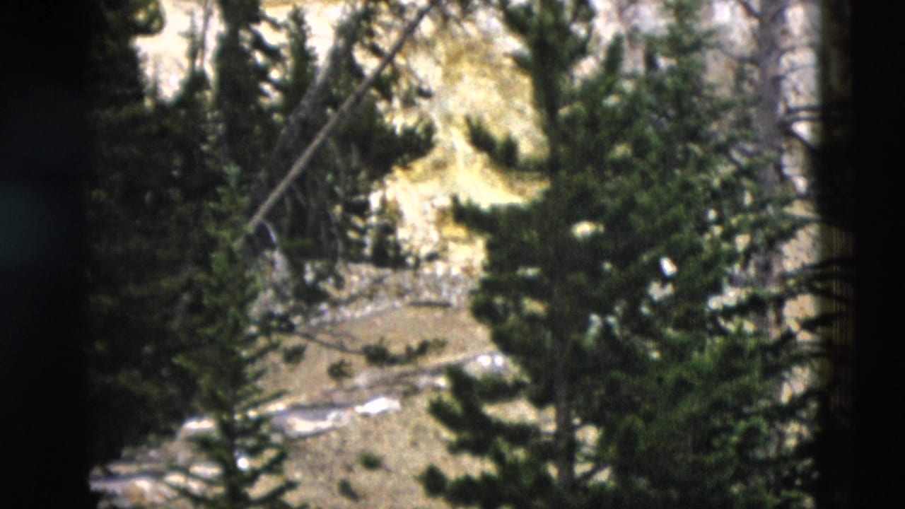 1958 Yellowstone 8mm frame looking across a rocky slope with scattered conifers, sunlit ground, and darker tree cover.