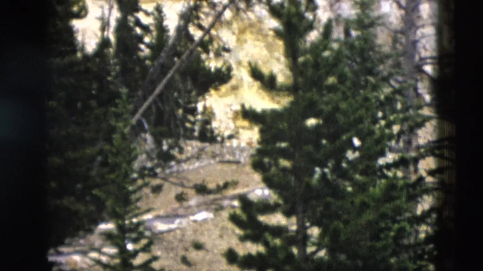 1958 Yellowstone 8mm frame looking across a rocky slope with scattered conifers, sunlit ground, and darker tree cover.