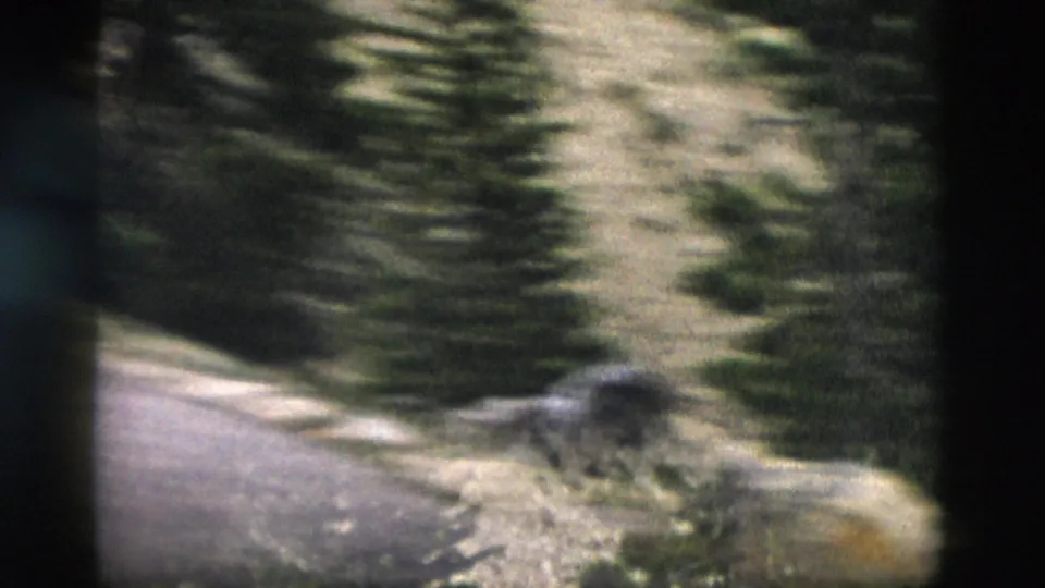 1958 Yellowstone 8mm frame ending on a softer downward view of forested slope, tree shadows, exposed soil, and scattered rocks.
