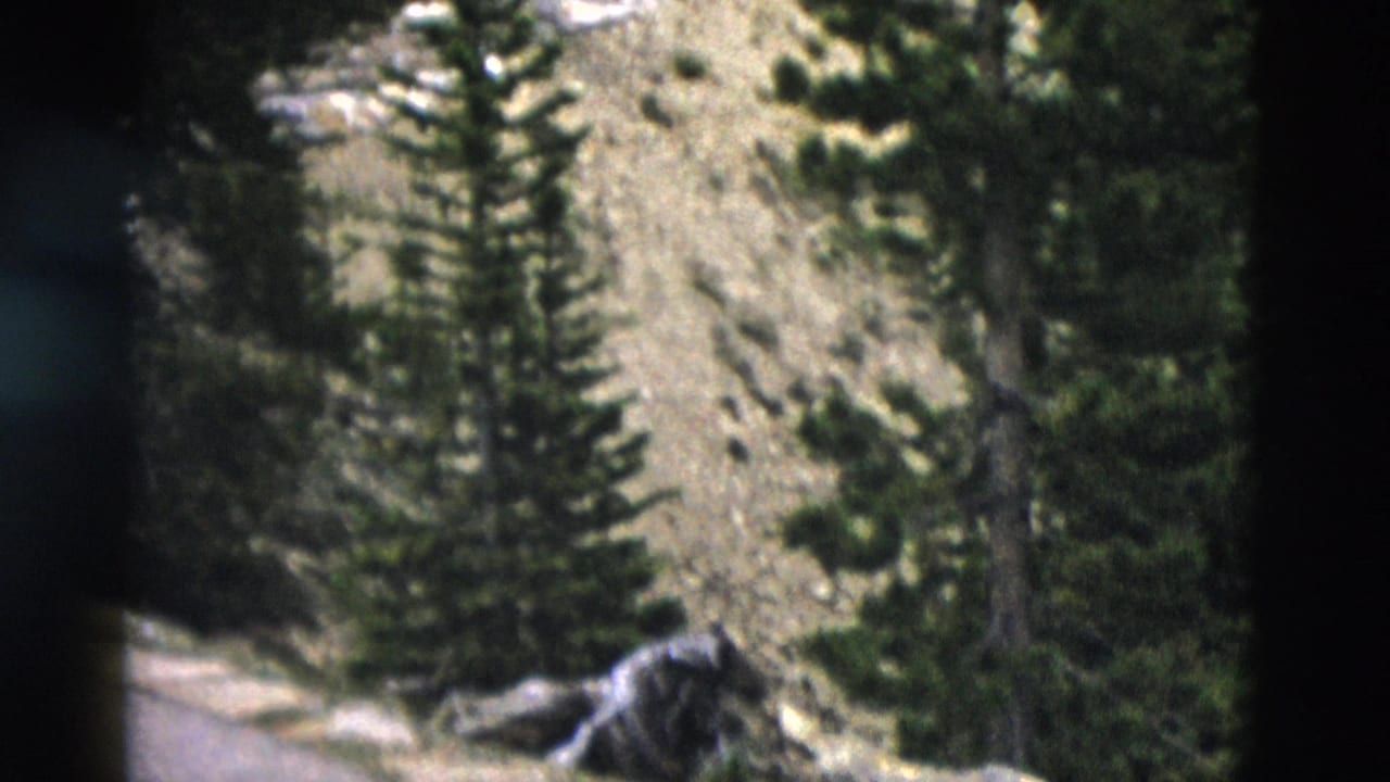 1958 Yellowstone-area 8mm frame showing a paved mountain road, evergreens, and a rocky valley slope from a handheld roadside view.
