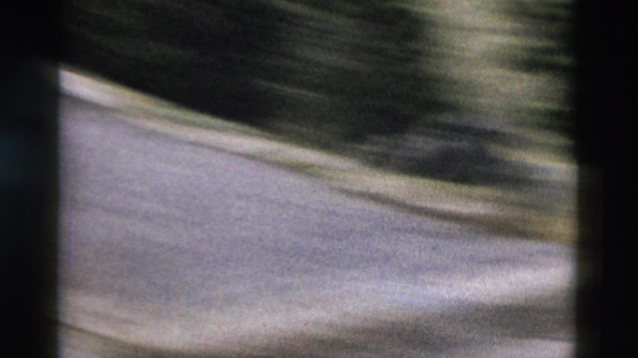Handheld 8mm frame from the Yellowstone clip with a blurred paved road and dark roadside forest, likely during camera movement.