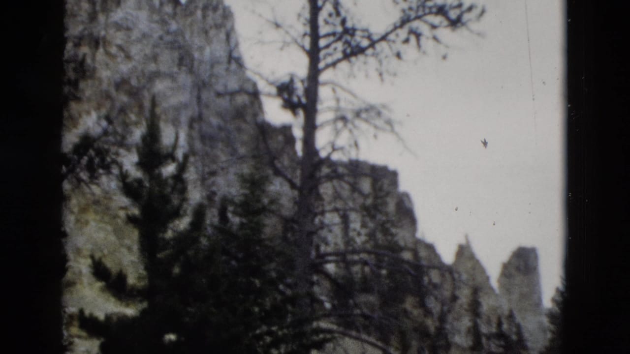 1958 Yellowstone 8mm frame with rugged cliffs, conifers, bare branches, and heavy dark framing from the film scan.