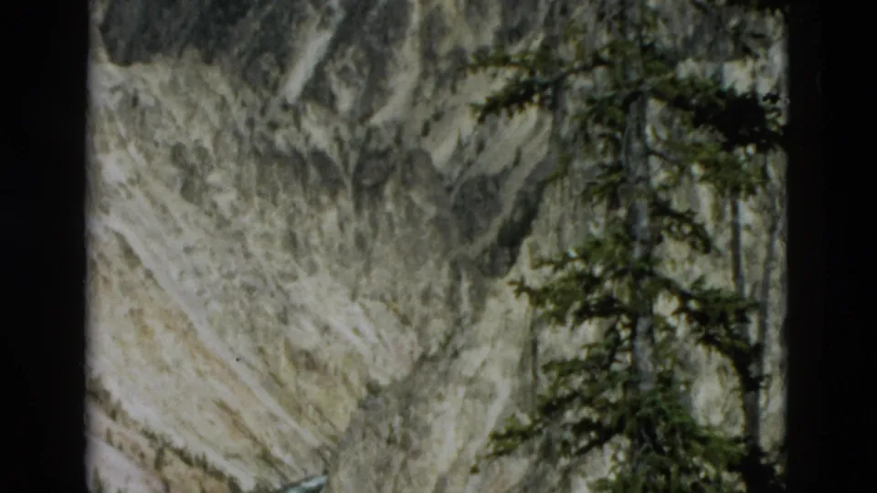 1958 Yellowstone home-movie frame showing a steep layered canyon wall partly framed by an evergreen tree.